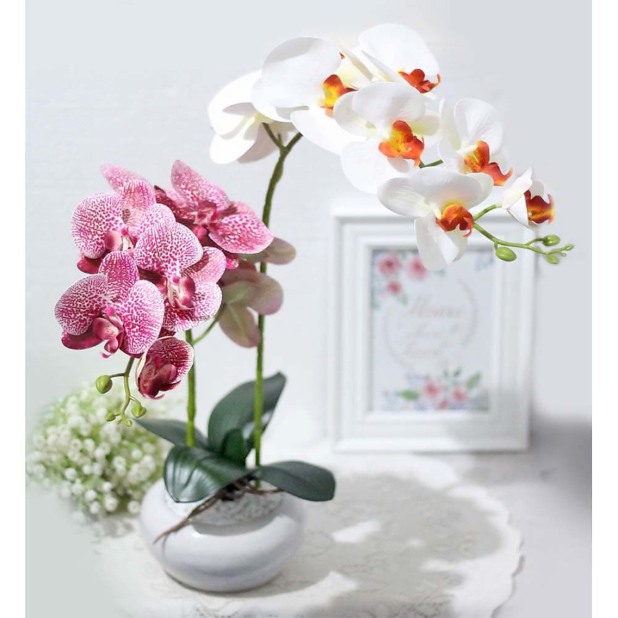 bunga artificial plastik hias anggrek PREMIUM LATEX Realtouch + pot keramik