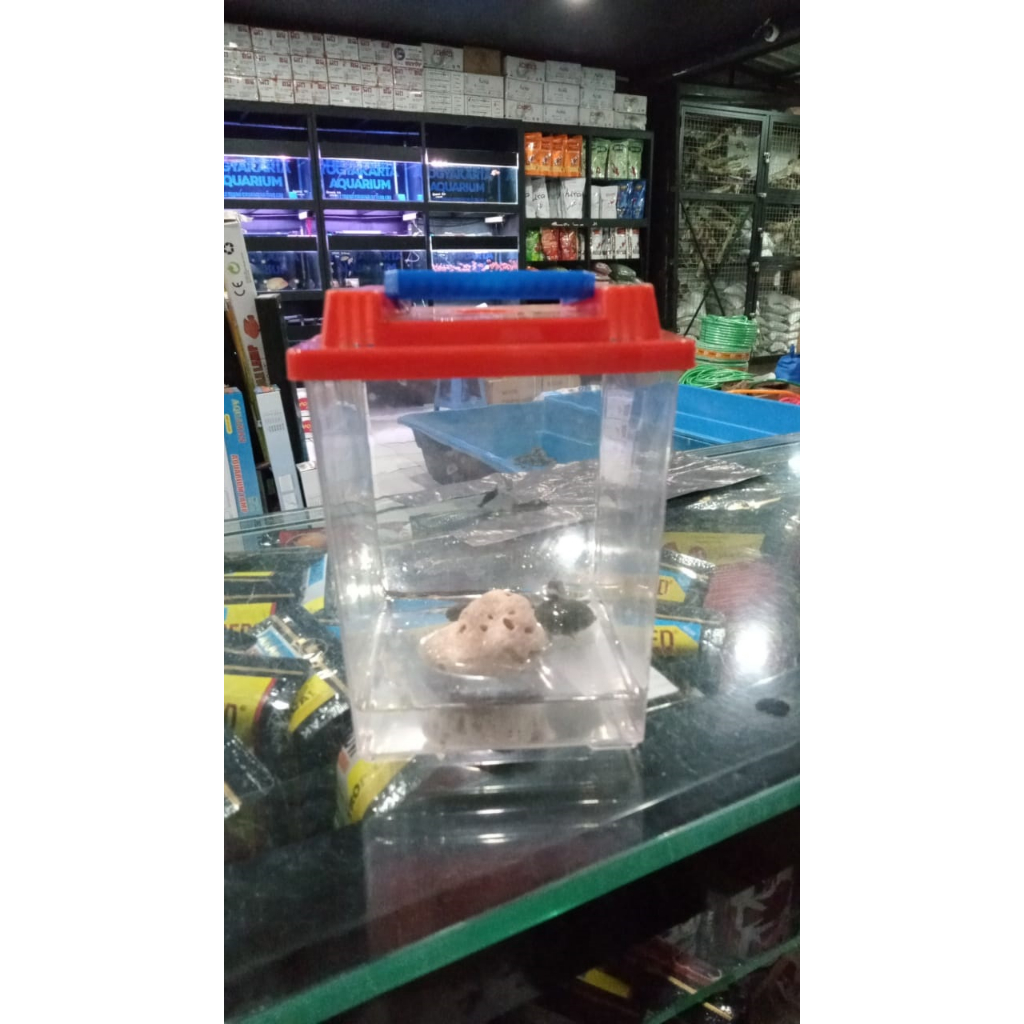 Toples akrilik /pet home kura kura, cupang