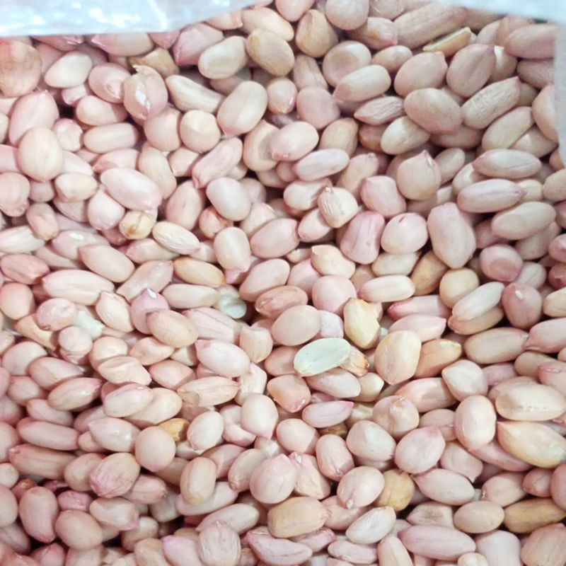 

kacang tanah 500gr