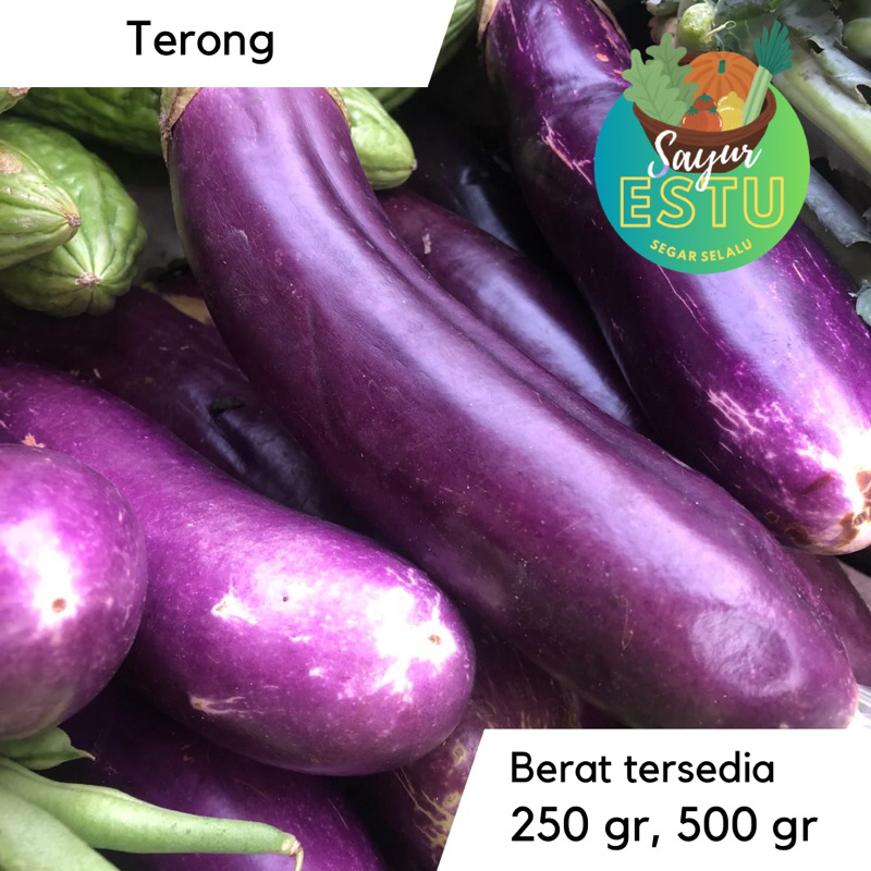 

Terong / Egg Plant [GRATIS ONGKIR]