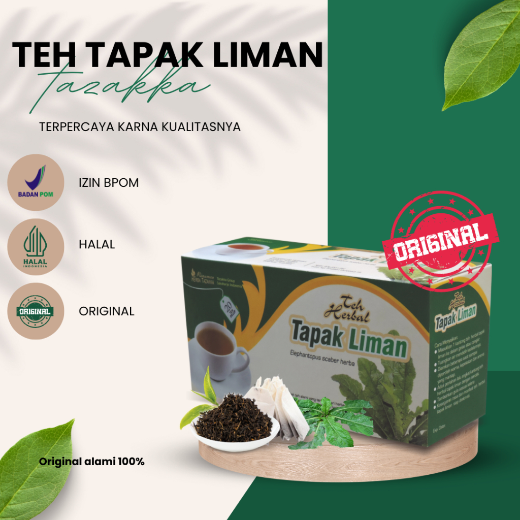 

Teh Herbal Tapak Liman Tazakka untuk anti radang alami tanpa efek samping Teh Antioksidan Daun Tapak liman Antiradang Tazakka Original