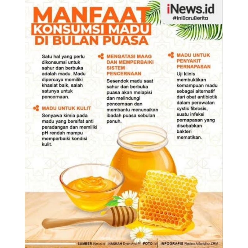 

NG Super Madu Hutan Golden Honey Albany 1 kg