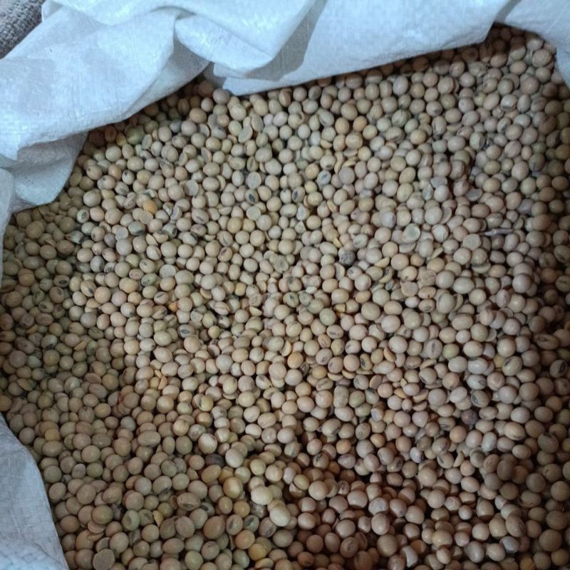 

Kacang Kedelai (Repack 1 kg)