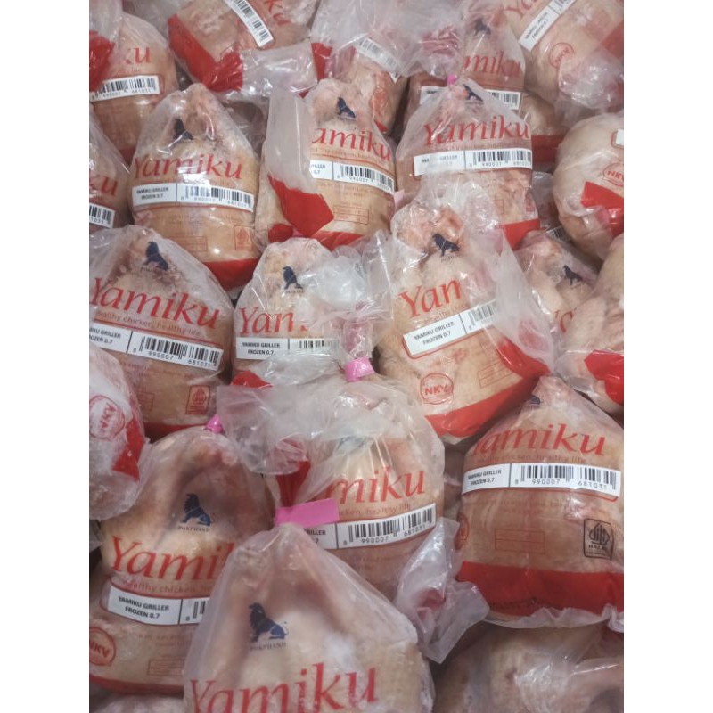 

Ayam Boiler Karkas Frozen UK 400gr s/d 1,4kg