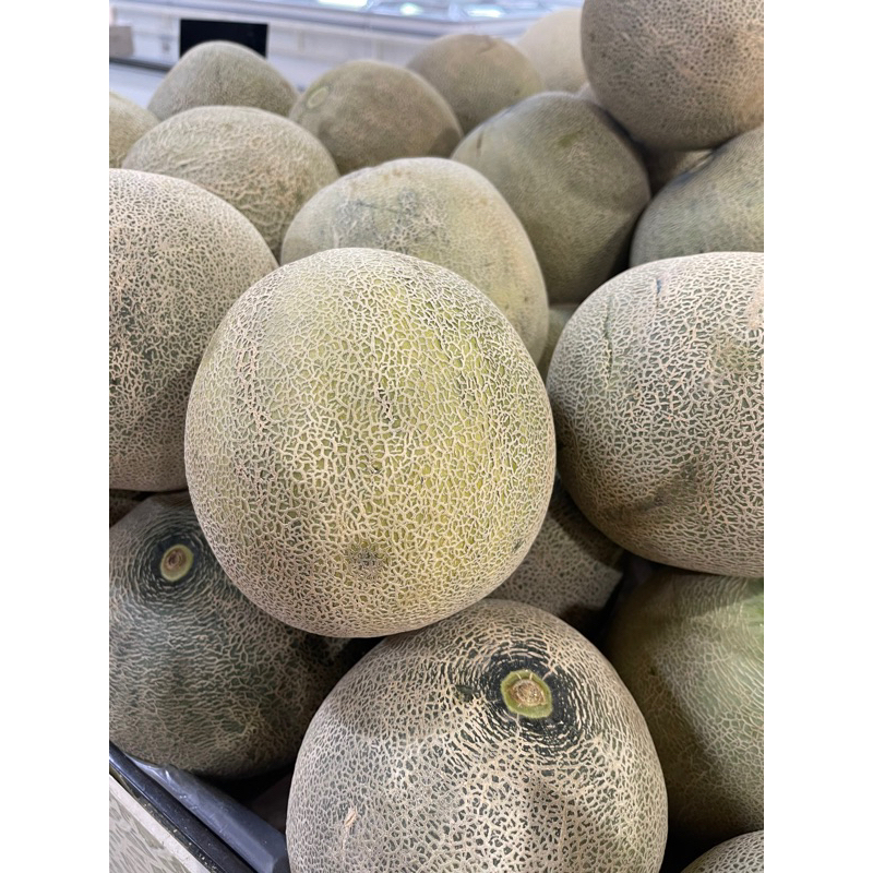 

melon madu
