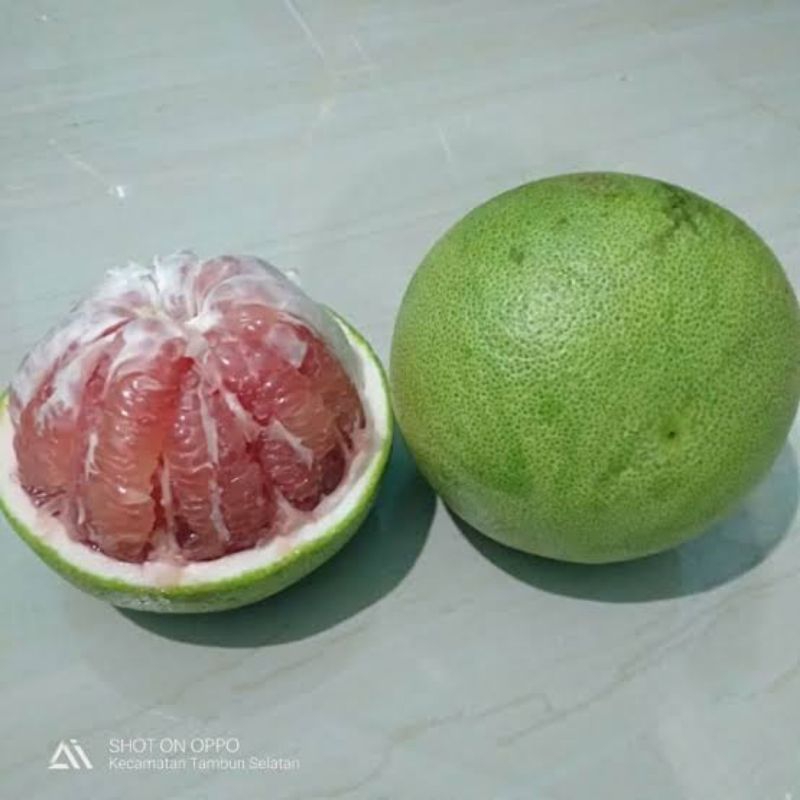 

jeruk bali (pamelo) khas matang glumpang dua