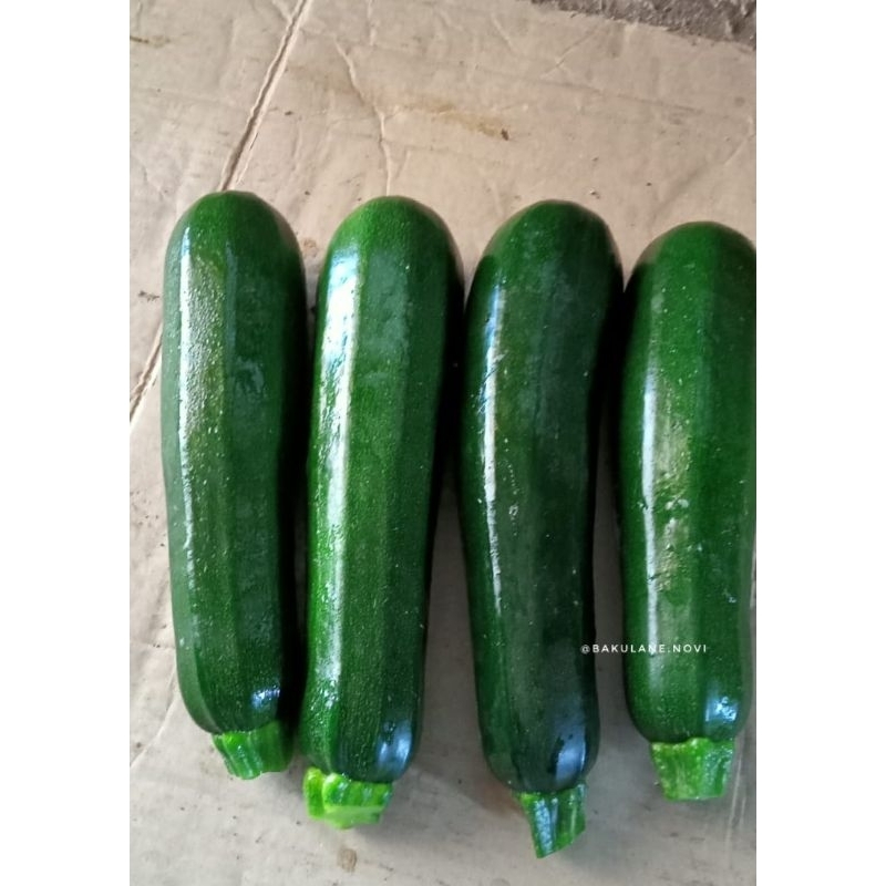 

Zukini / Zucchini Fresh 1 KG