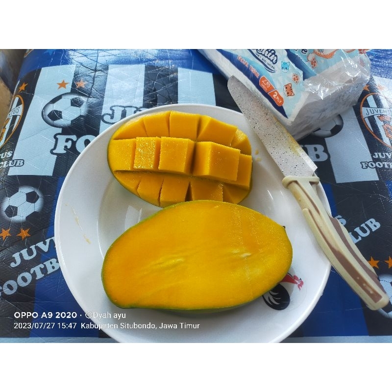 

manggagadungsitubondo