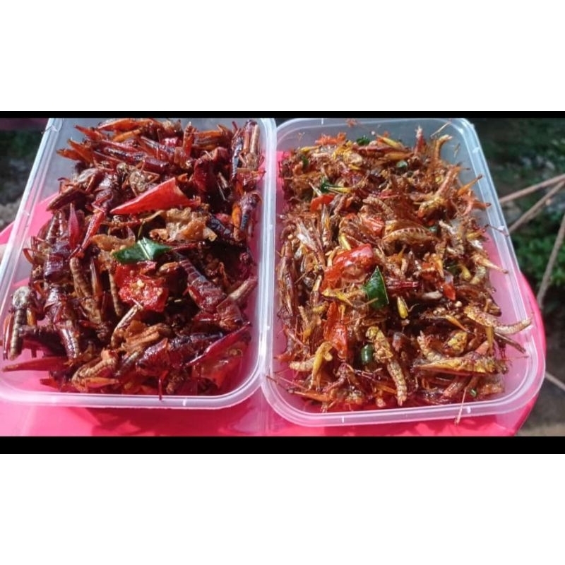 

belalang beras crispi