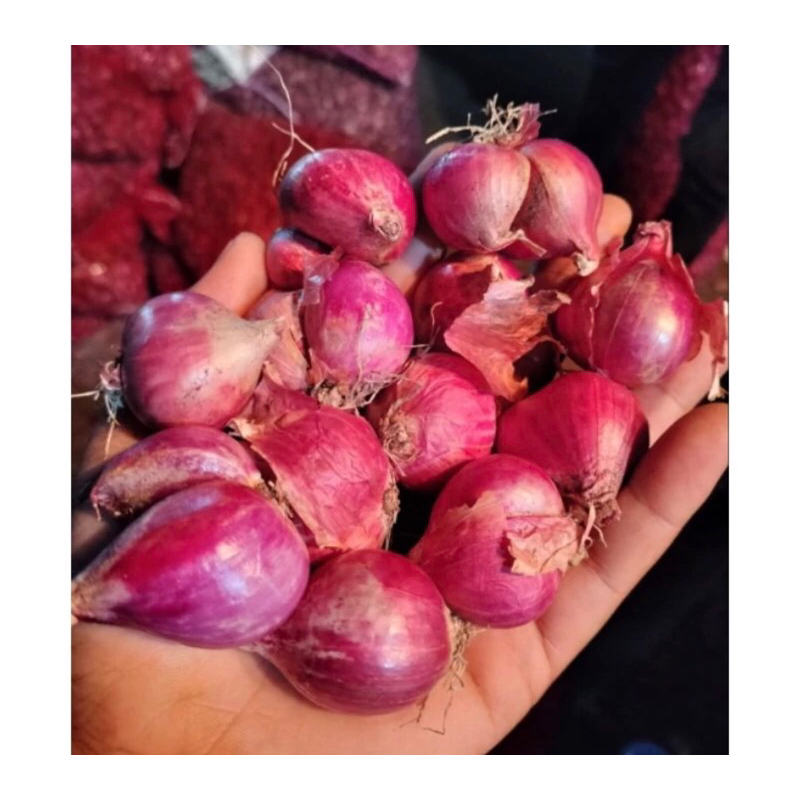 

bawang merah 1 kg
