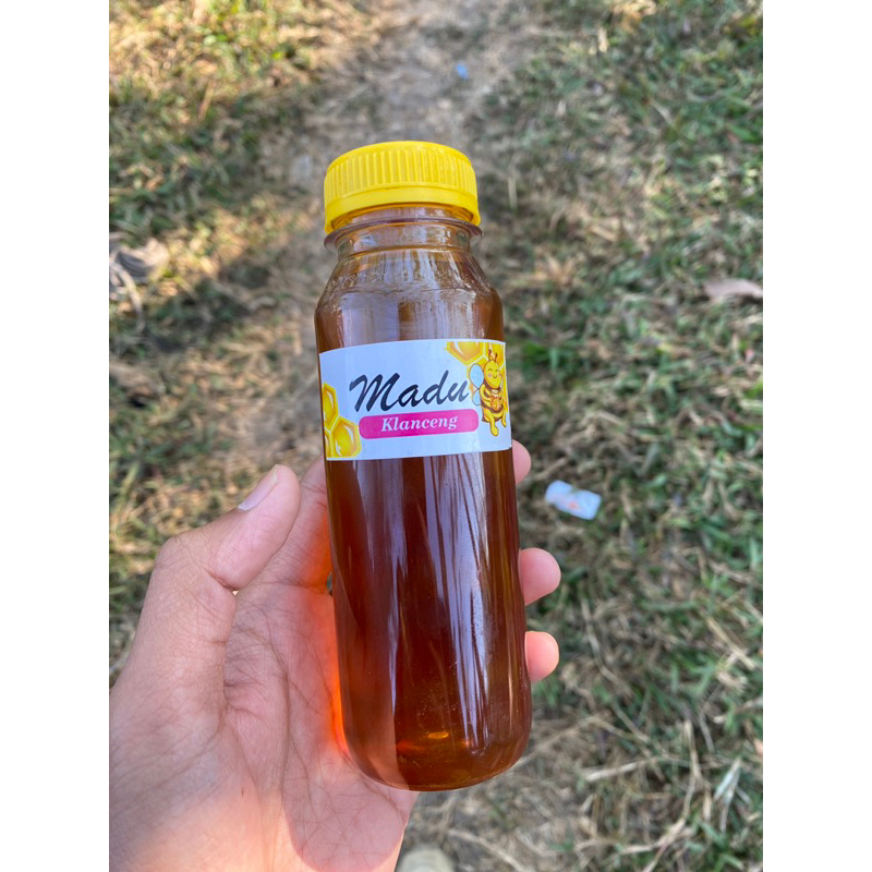 

Madu Klanceng