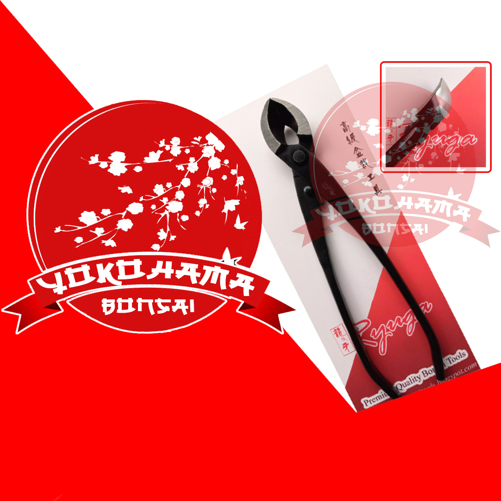 YOKOHAMA BONSAI - Alat Bonsai, Catok Miring Cembung, RC12 Ryuga