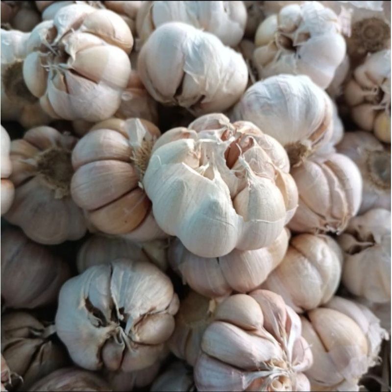 

Bawang Putih 1/2kg