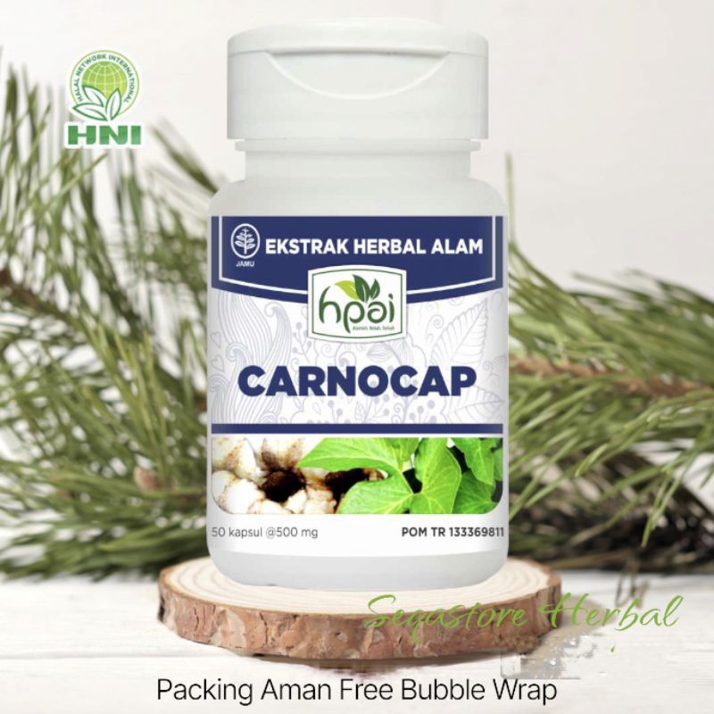 

Carnocap HNI HPAI isi 50 kapsul Herbak untuk masalah kanker atau tumor