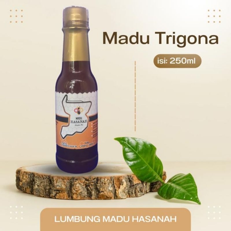 

Madu Trigona Murni 250 ml