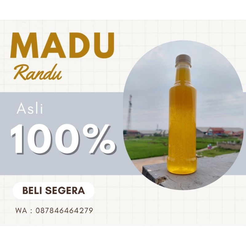 

Madu Randu murni madu asli