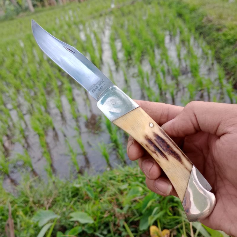 Bear MGC Cutlery Folding Hunter knife KLC16308 Stag Scale Handle  bear and son  Hunting knive Scale 