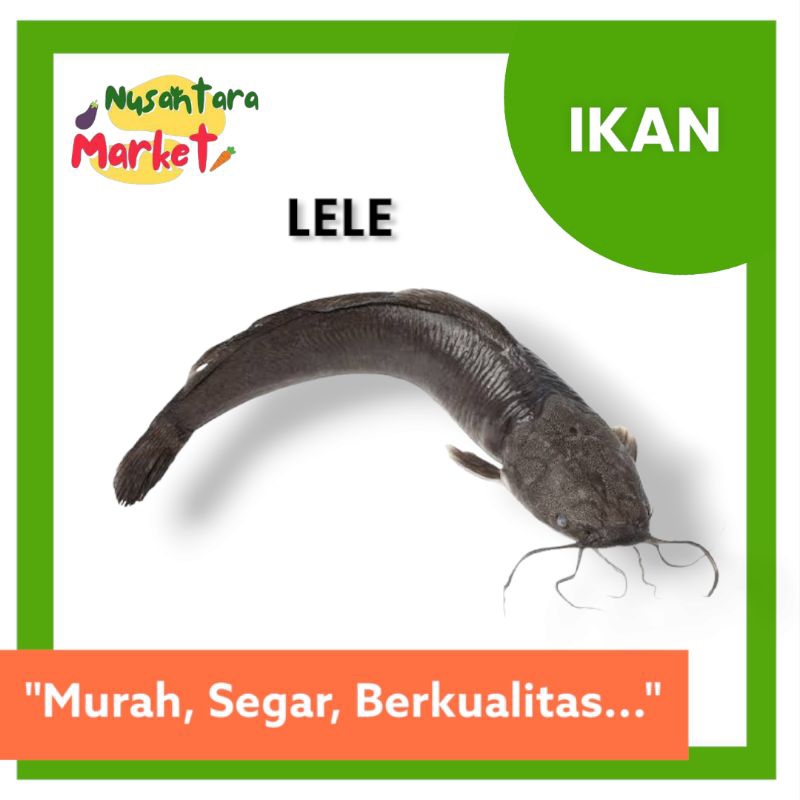 

LELE | 500GR & 1KG | NUSANTARA MARKET