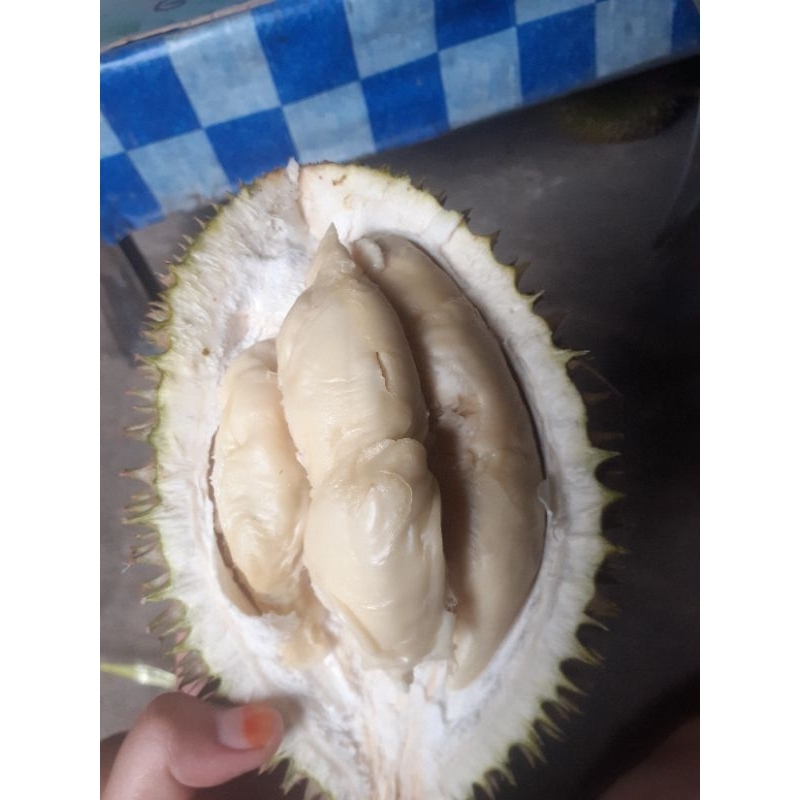 

Durian Kalimantan