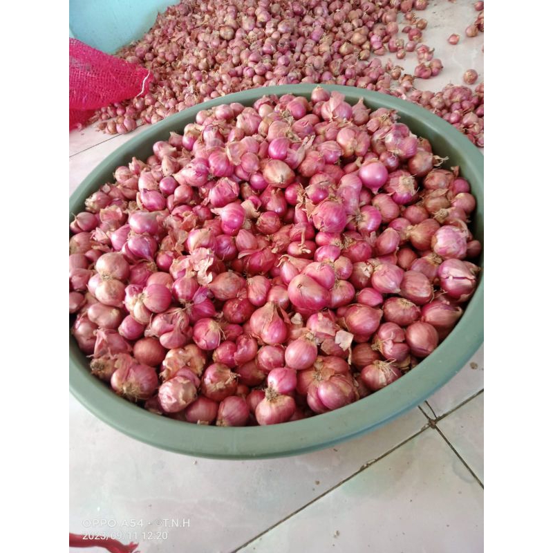 

bawang merah Probolinggo besar ½kg