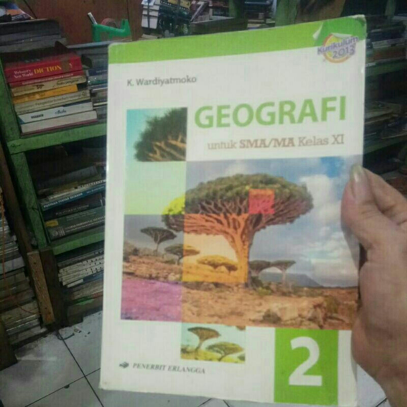 BUKU BEKAS GEOGRAFI 2 SMA