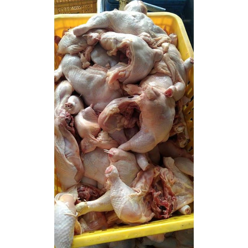 

PAHA AYAM UTUH / CHICKEN LEG BONE IN