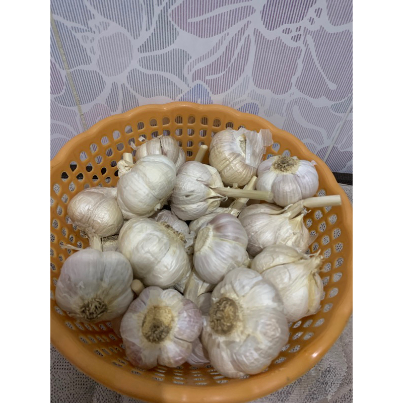 

BAWANG PUTIH KATING