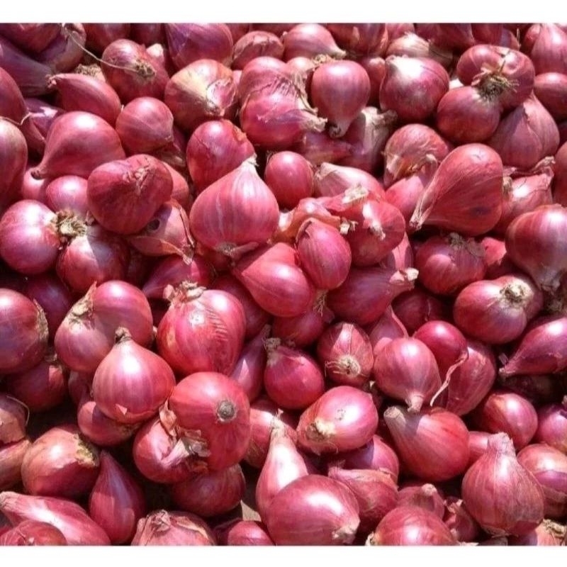 

bawang merah 1 kg