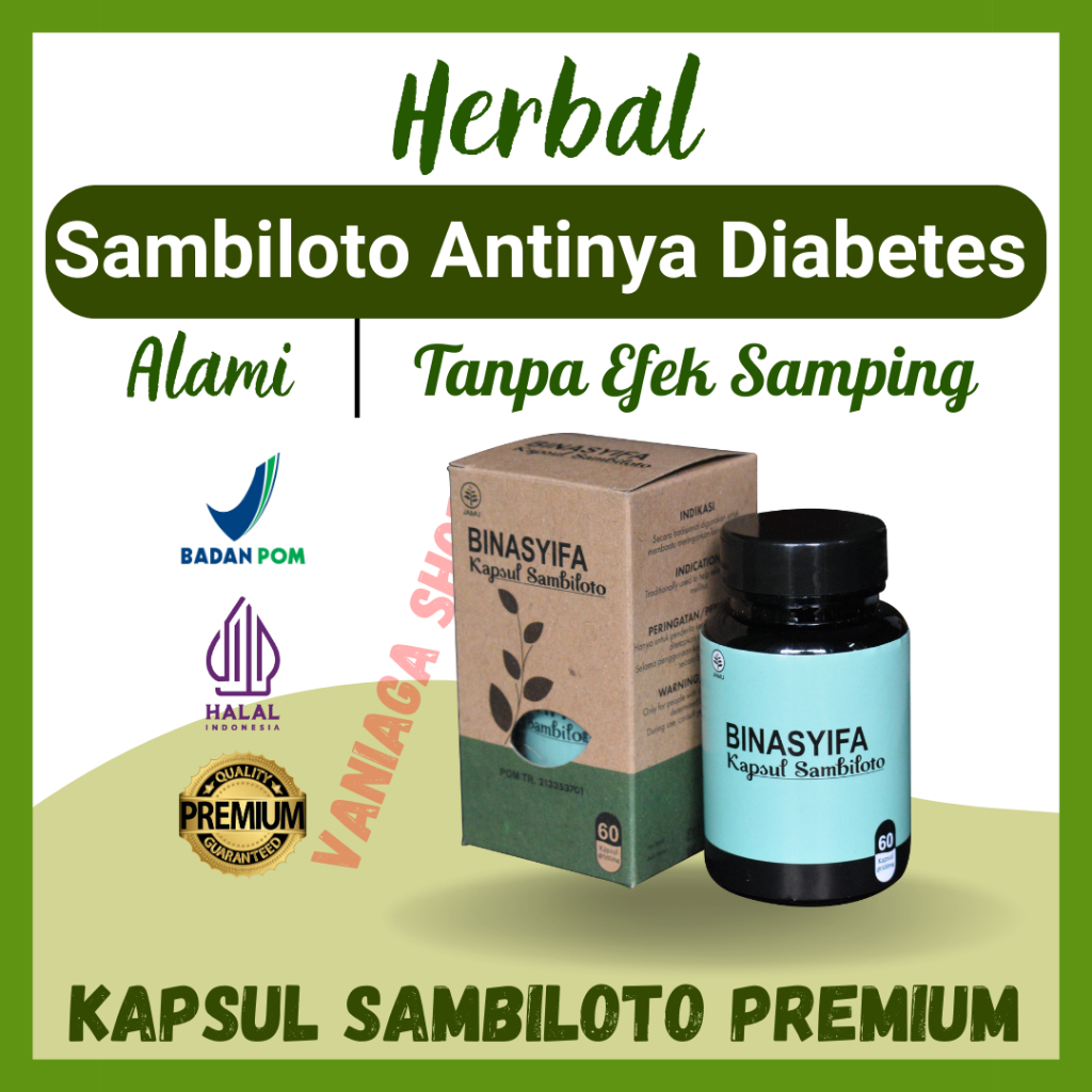 

Obat Herbal Diabetes Paling Ampuh Dan Aman Kencing Manis Kapsul Sambiloto Bpom Original