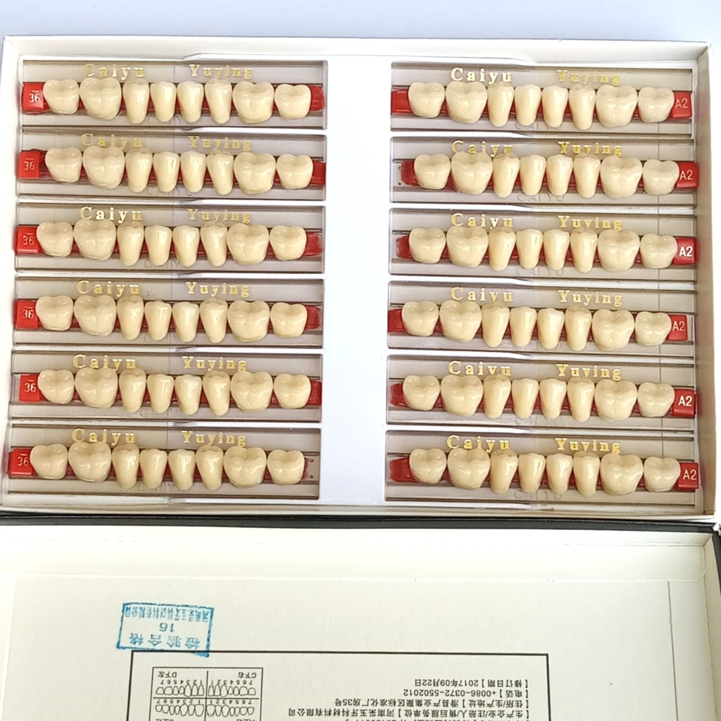 Bma Gigi Palsu Graham Bawah 1 Box/Kotak/Pack Isi 12 Papan Caiyu/Permanen/Lepas Pasang