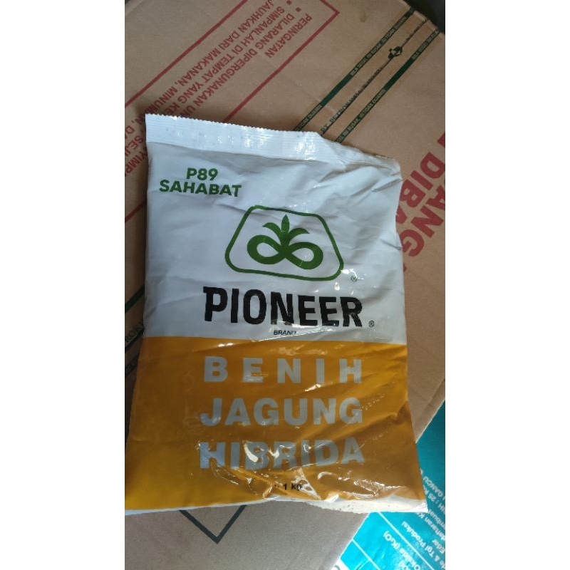benih jagung hibridaP89