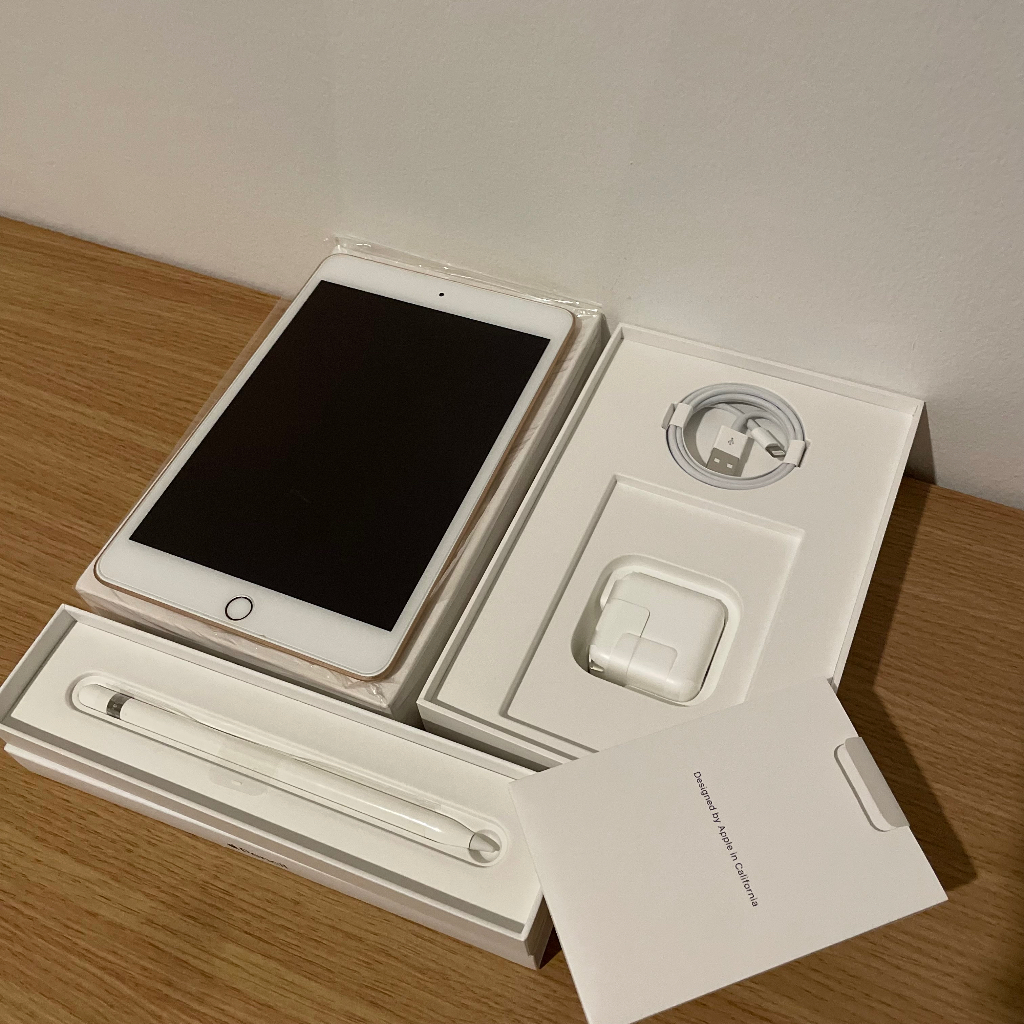 MURAH Ipad Mini 5th Gen Wifi 64gb Second include Apple Pencil