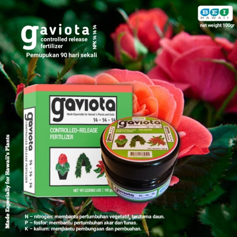 Pupuk Gaviota dekastar osmocote 14 14 14 berat 100 gram