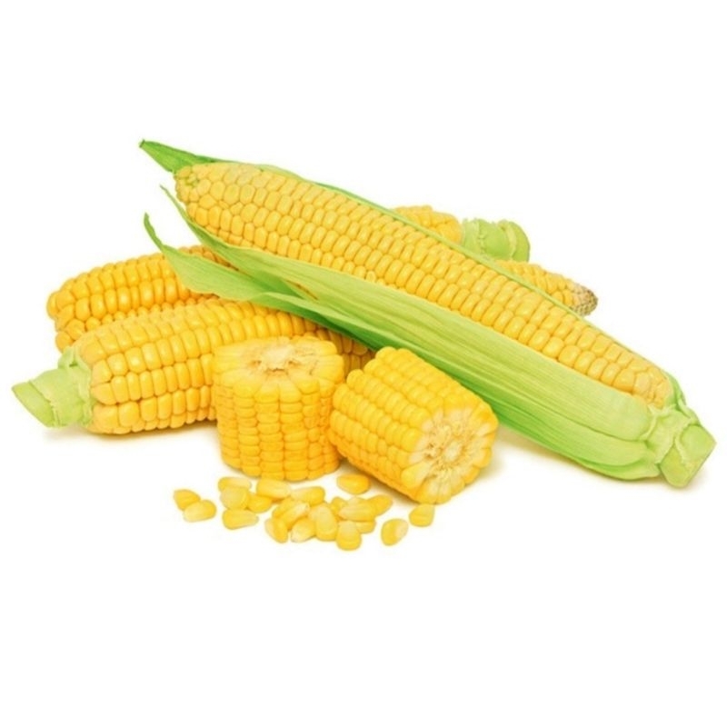 

jagung manis 1 kg sayuran