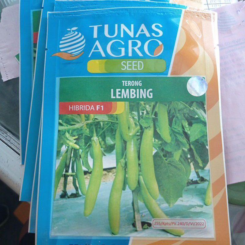 Benih terong lembing tunas agro 5 gr