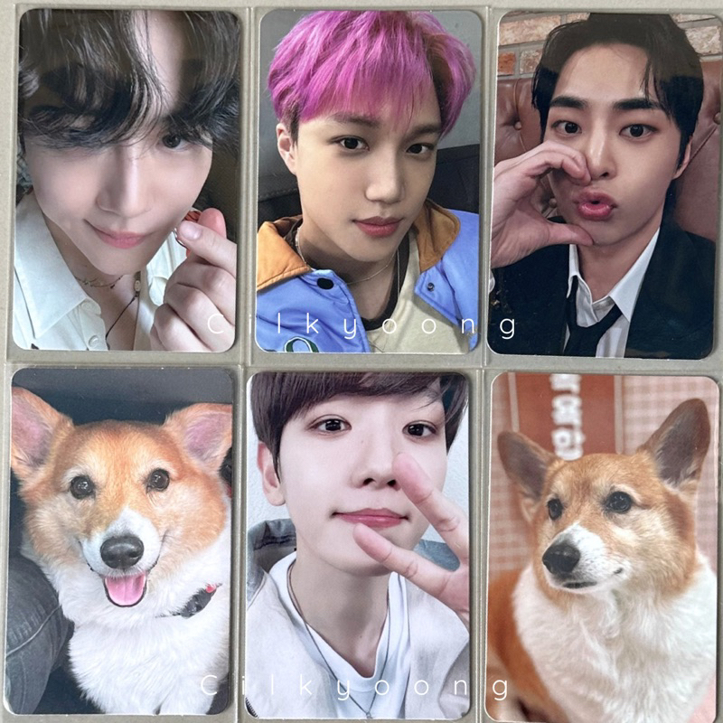 [Ready Stock] PC Photocard EXO Baekhyun/Suho/Kai/Xiumin EXIST | EXO Chanyeol/Chen/Kyungsoo | Baekhyu