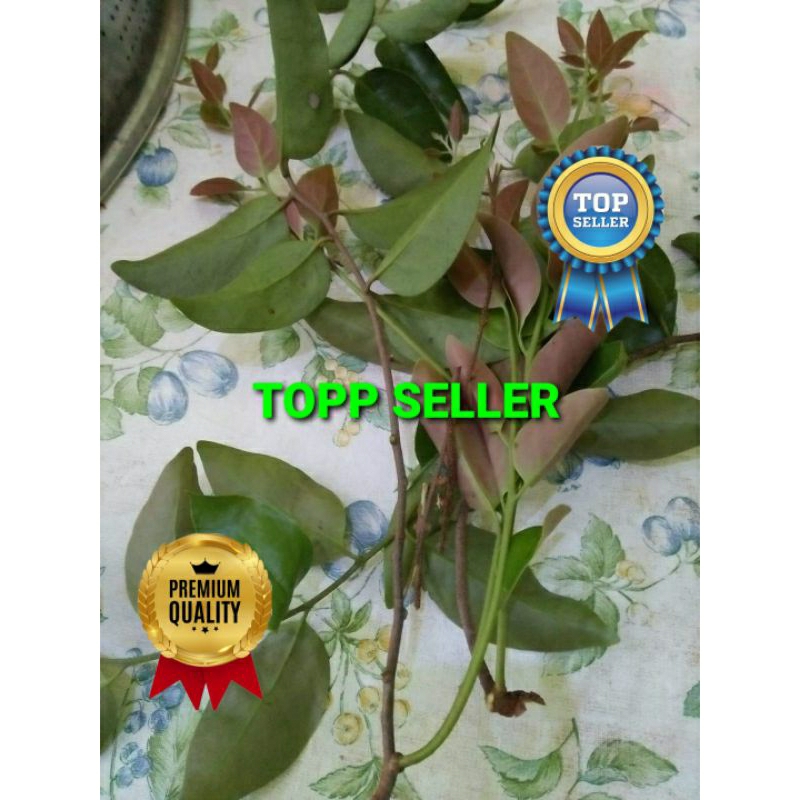 

BENALU KELOR KERING 1000 GRAM