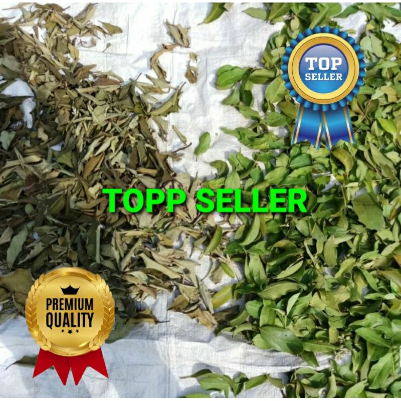

BENALU JERUK PURUT KERING 1000 GRAM