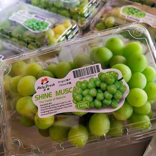 

FCW Jakbar - Anggur Hijau Shine Muscat 1 (pack/450-500g)