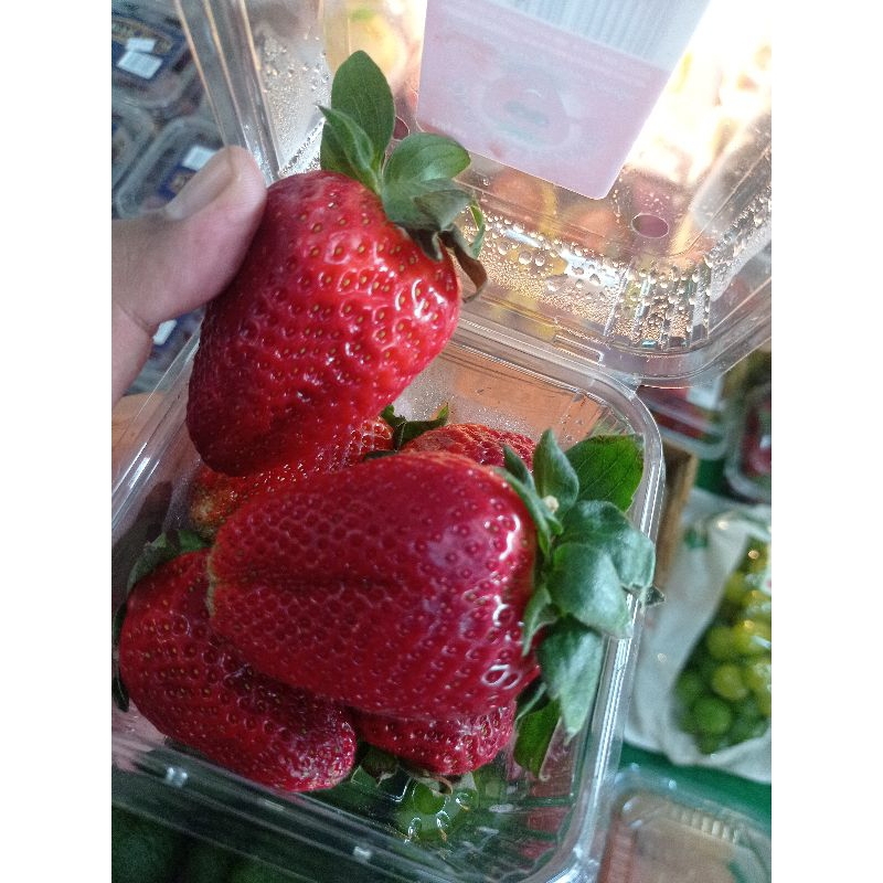 

Strawberry Australia jumbo / pack