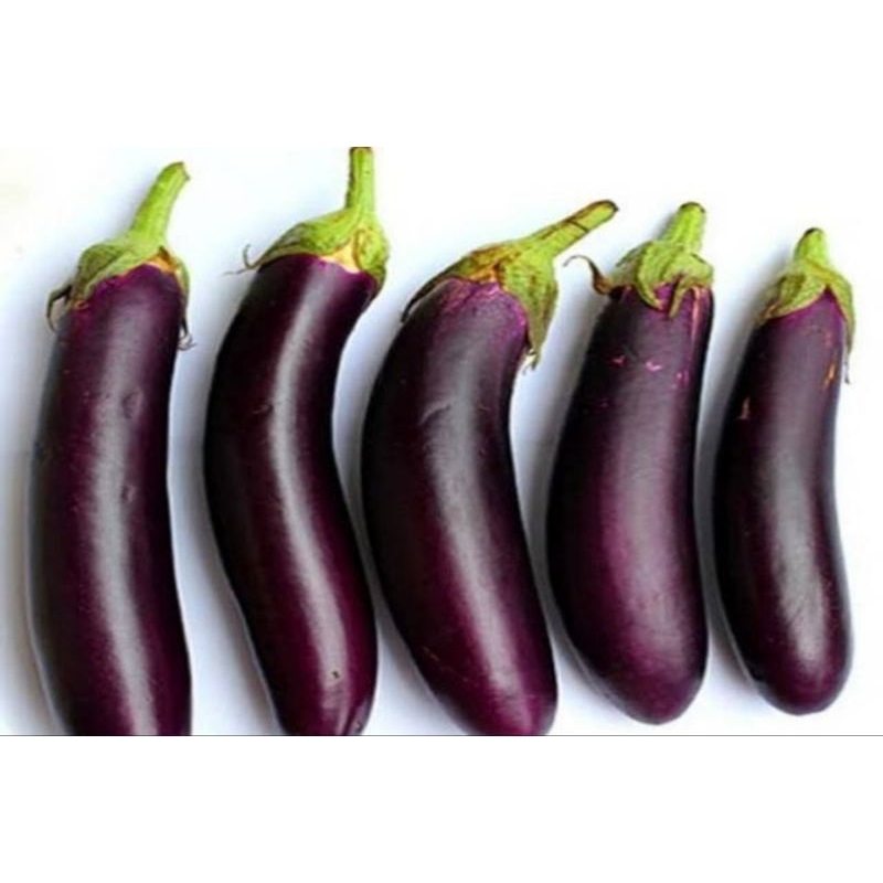 

TERONG UNGU (750 GRAM)