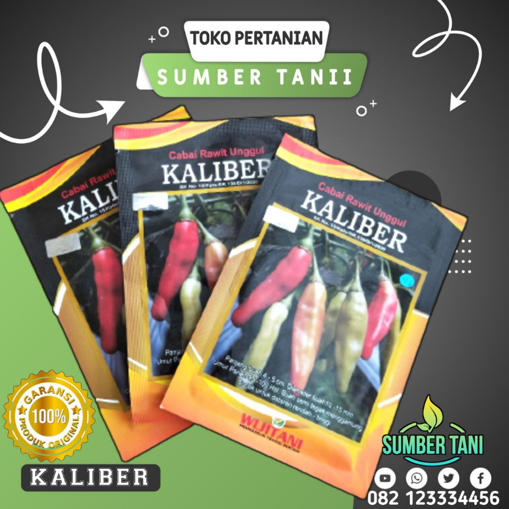 

Benih Cabai Rawit Kaliber 10 gr Original Wijitani