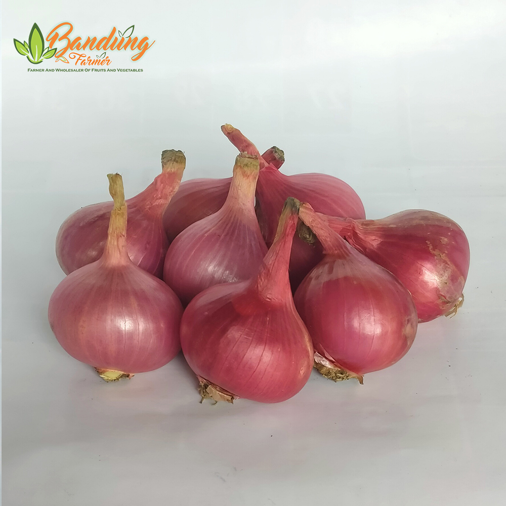 

bawang merah fresh 1 kg