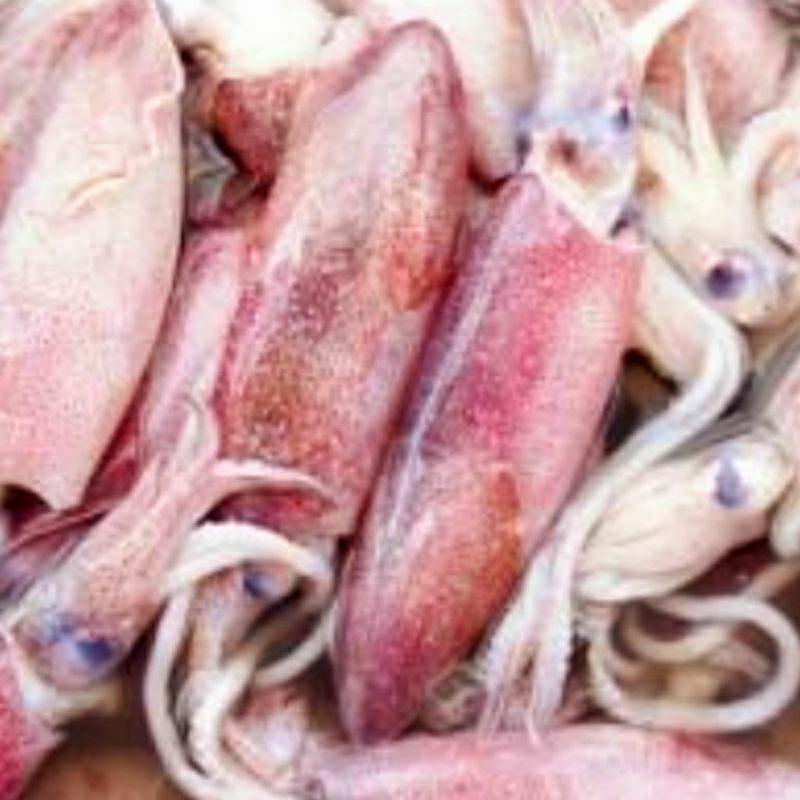 

(pesan malam/ H -1) Cumi segar ukuran sedang