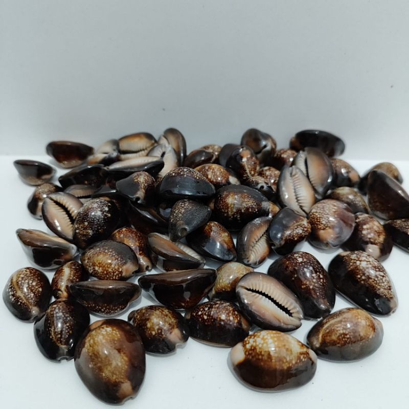 Kewuk biji congklak hitam isi 100 gram / Kuwuk bekel / Kuwuk Kerang hitam