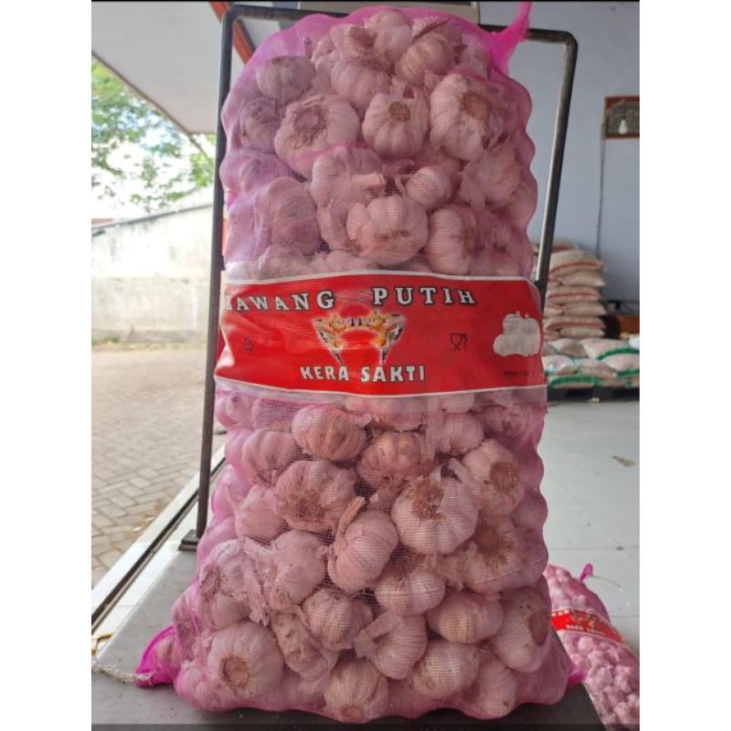 

bawang putih 1 kg