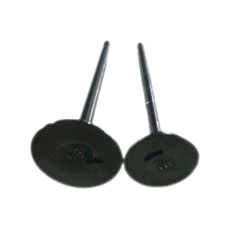 Klep Set ASPIRA Motor MIO SMILE FINO NOUVO NOUVO Z