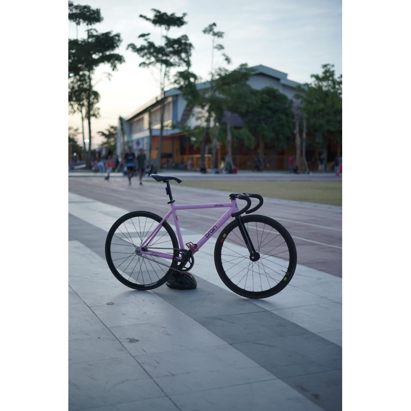 brain atales fullbike