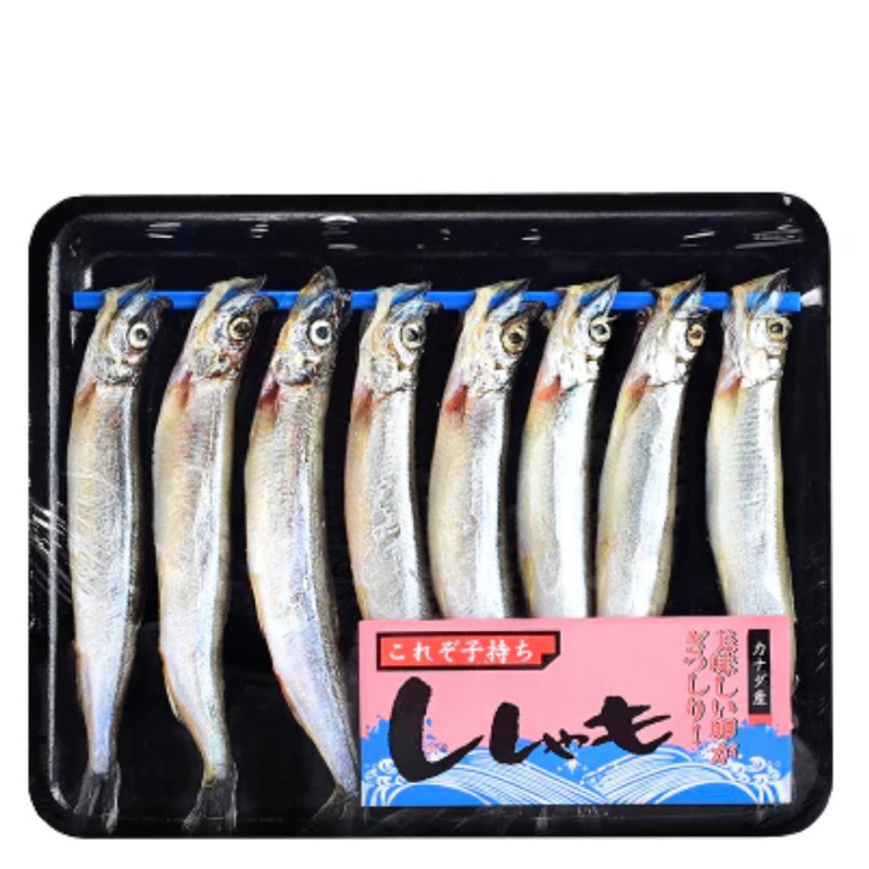 

Ikan Cipung Shisamo Capelin Full Telur Premium