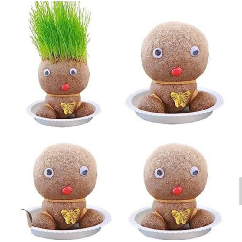 SOUVENIR BONEKA/BONEKA SOUVENIR/BONEKA BISA TUMBUH RAMBUT RUMPUT GANDUM/BONEKA HORTA